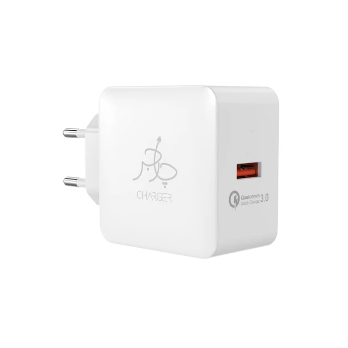 Blaze 18W (Type A - Type C Cable Included) With 6 Months Warranty